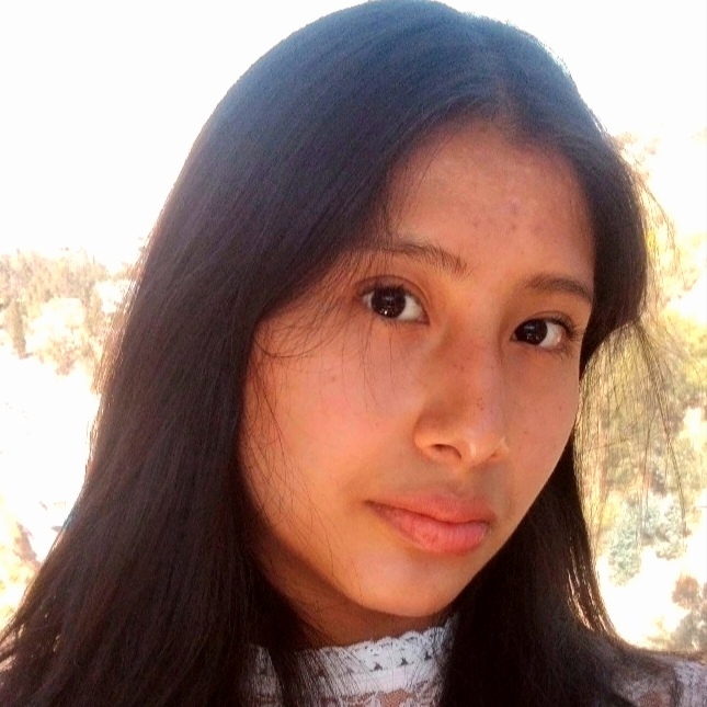 Ivonne Colque